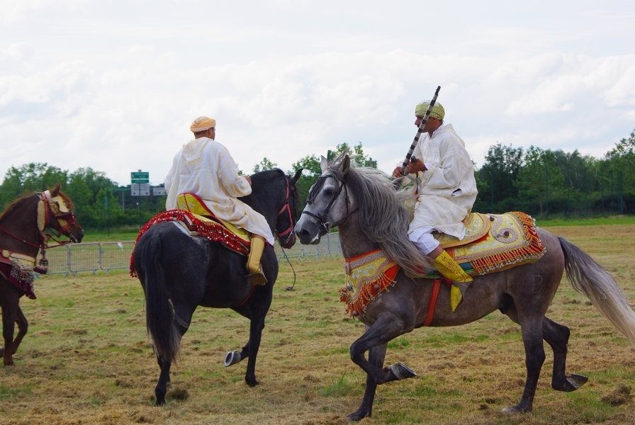 Le Moussem des Cultures 2008 218.jpg